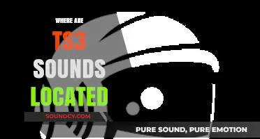 Locating TeamSpeak 3 (TS3) Sound Files: A Comprehensive Guide