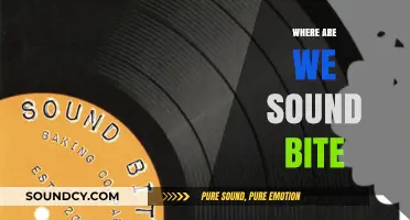 Where Are We Now? Decoding the Impact of Sound Bites in Media