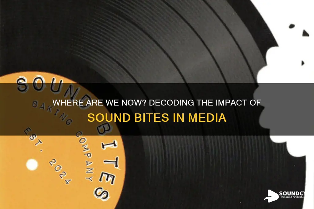 where are we sound bite