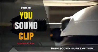 Where Are You Sound Clip: Origins, Uses, and Cultural Impact Explained