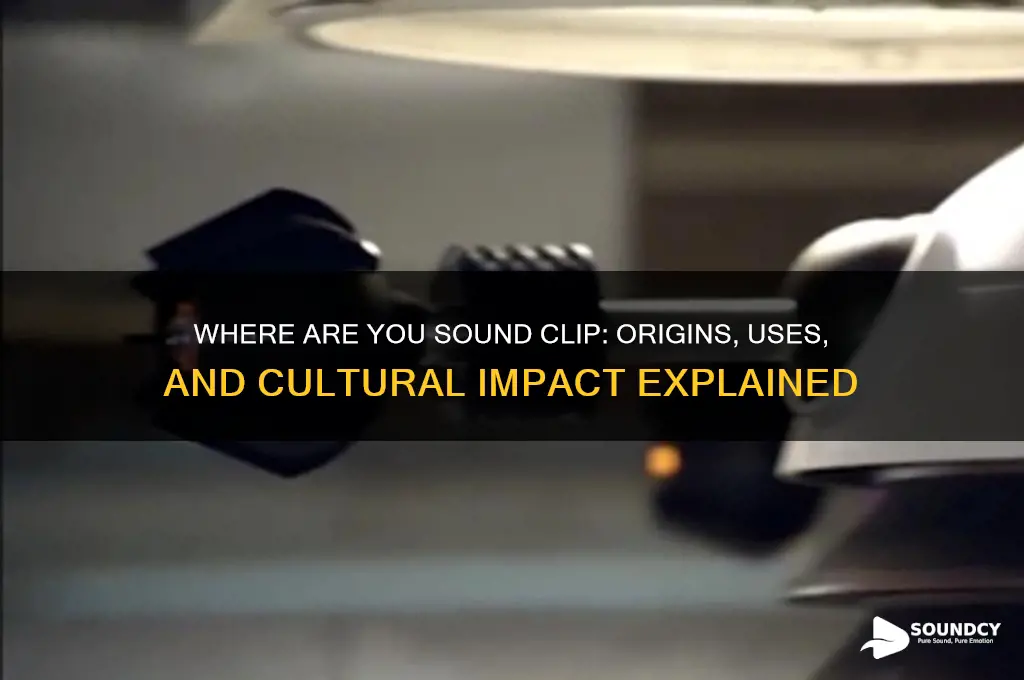 where are you sound clip