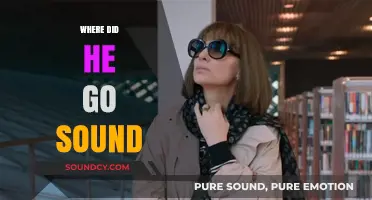 Where Did He Go Sound: Unraveling the Mystery Behind the Phrase
