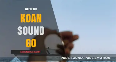 The Mysterious Disappearance of Koan Sound: What Happened?