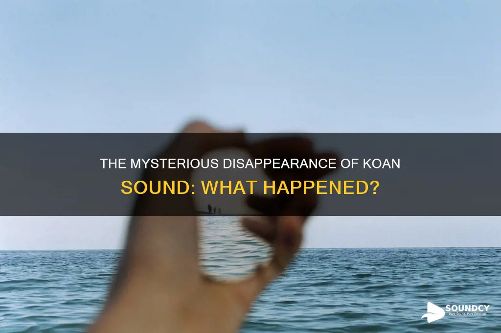 where did koan sound go