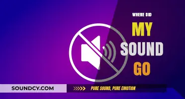 Where Did My Sound Go? Troubleshooting Audio Disappearance on Your Device
