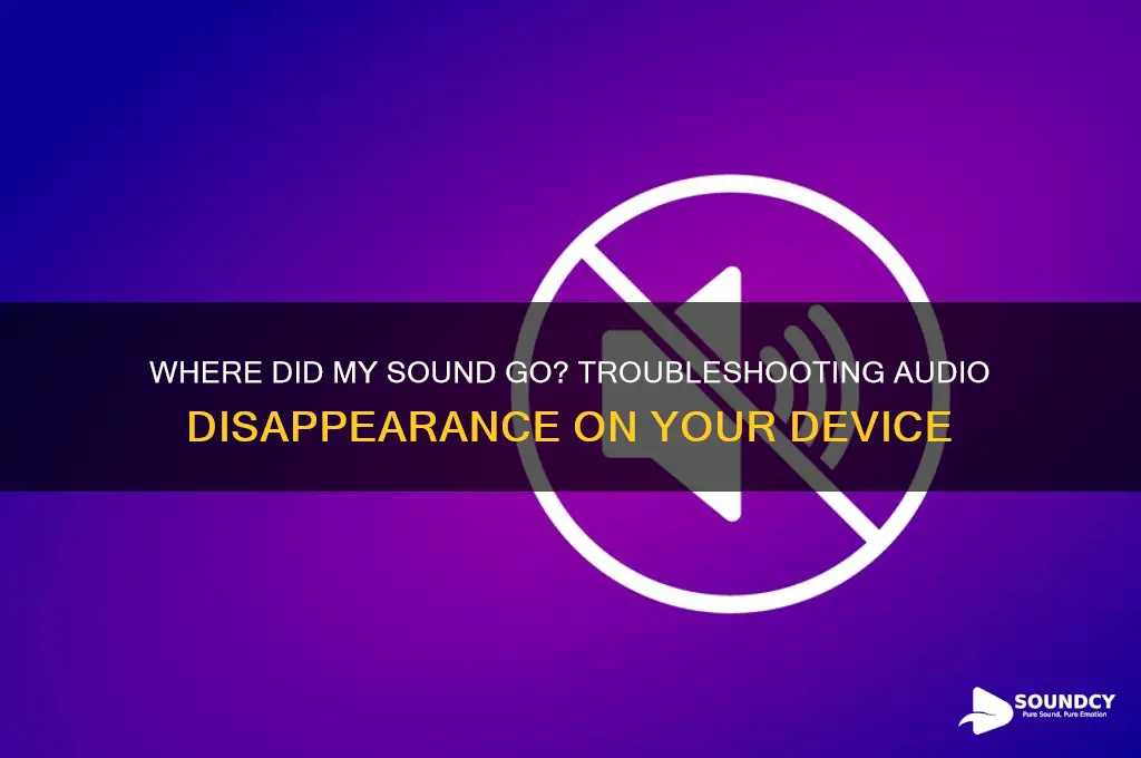 where did my sound go