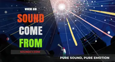 Unraveling the Origins: How Sound Emerged in Our Universe