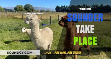 Exploring the Rural South: The Setting of Sounder Unveiled