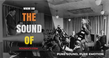 Unveiling the Origins: Where Did the Sound of Music Begin?