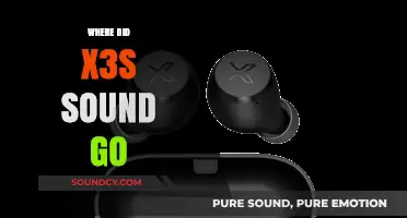 The Mysterious Disappearance of X3s Sound: What Really Happened?