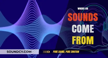 Unveiling the Origins: Exploring the Science Behind Sound Creation