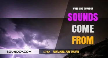 Thunder's Roar: Unveiling the Source of the Sound