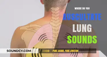 Auscultation Sites for Lung Sounds