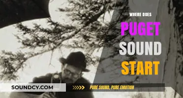 Exploring Puget Sound's Origins: Tracing Its Starting Point and Journey