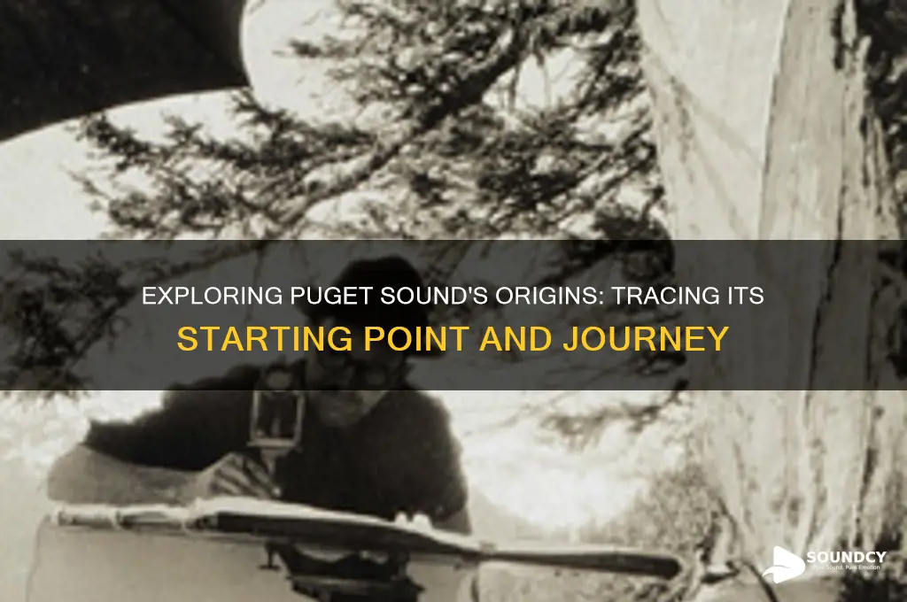 where does puget sound start