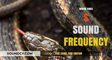 Exploring the Frequency Range of the S Sound in Speech and Language
