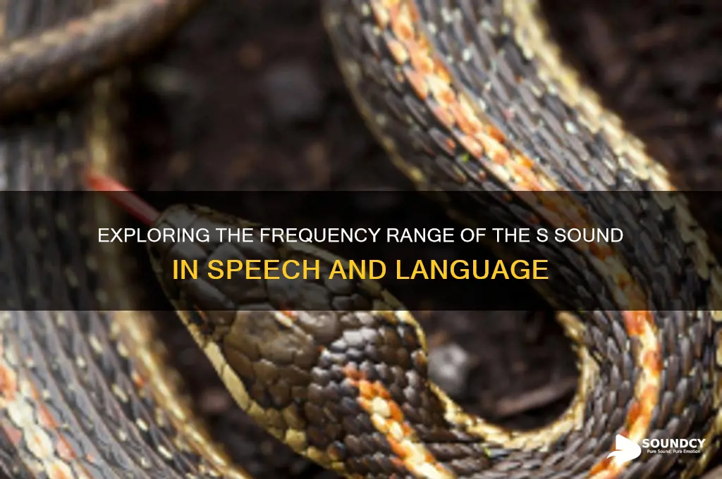 where does s sound frequency