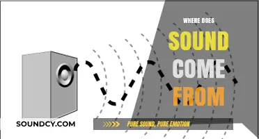 Unveiling the Origins: Exploring the Science Behind Sound Creation