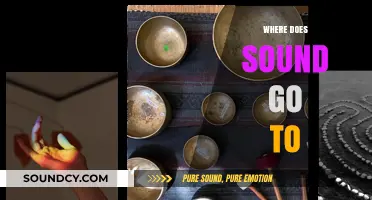 Exploring the Journey of Sound: Where Does It Travel and Disappear?