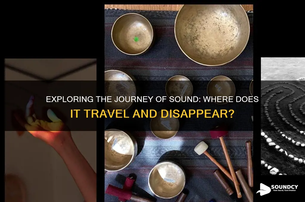 where does sound go to