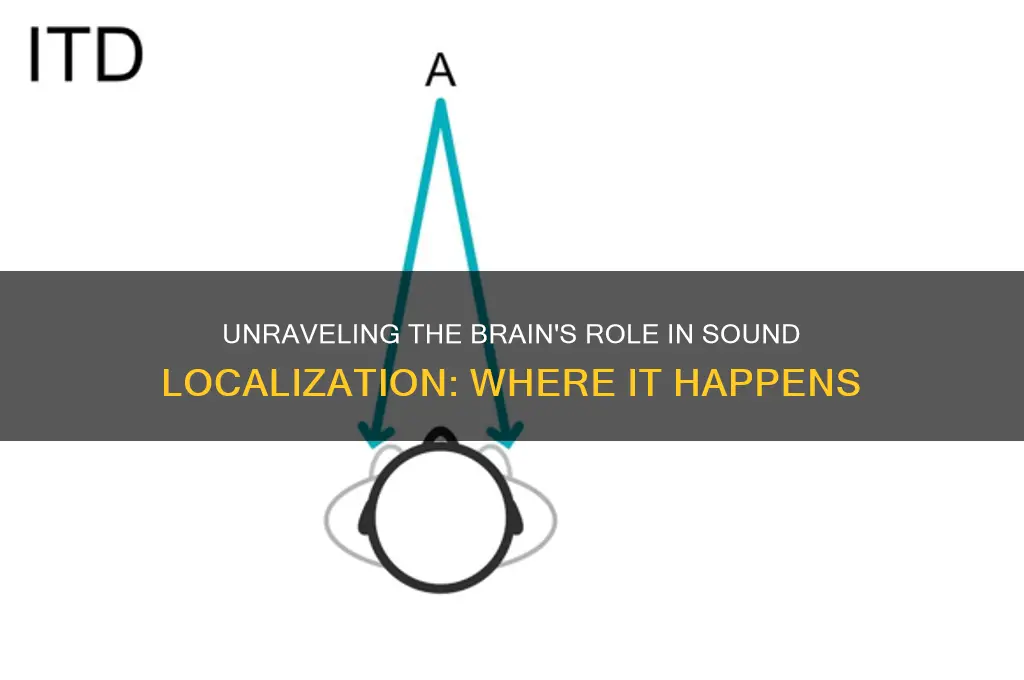 where does sound localization occur