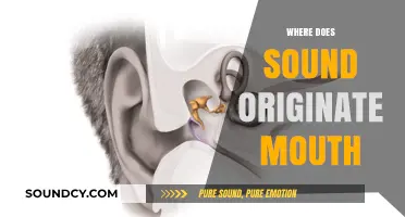 Unveiling the Source: How Sound Originates Beyond Just the Mouth