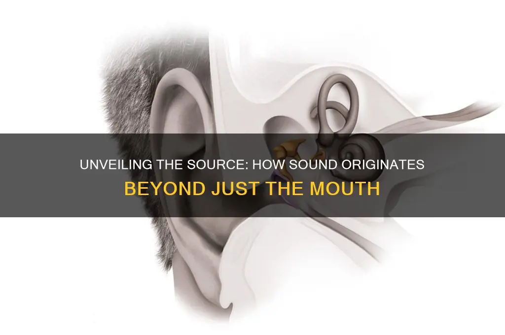 where does sound originate mouth