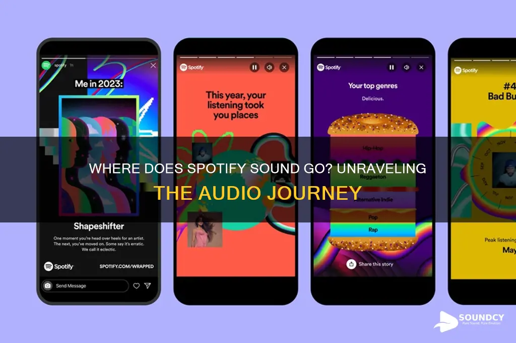where does spotify sound go