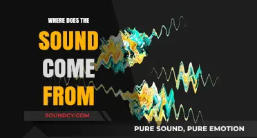 The Science of Sound: Where Does It Come From?
