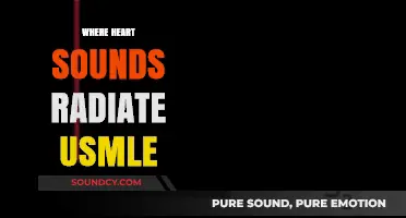 Understanding Heart Sound Radiation: Essential Insights for USMLE Preparation