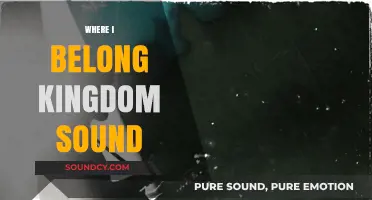 Finding My Place in the Kingdom Sound: A Musical Journey