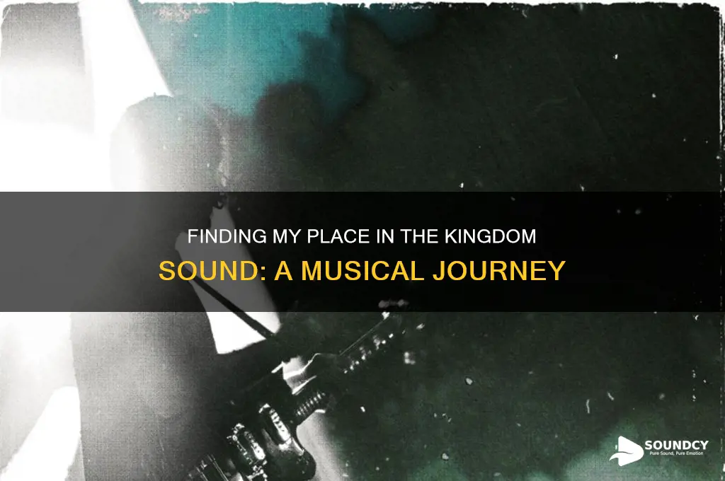 where i belong kingdom sound