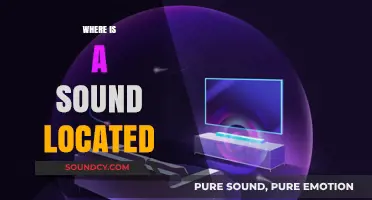 Exploring the Spatial Perception of Sound: Where is it Located?