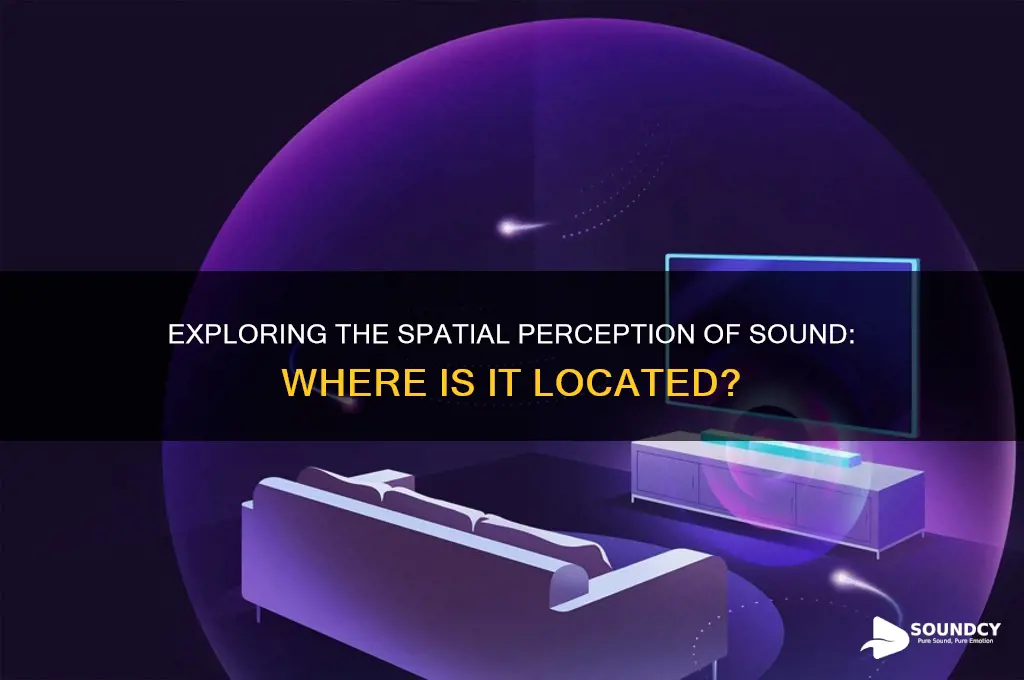 where is a sound located