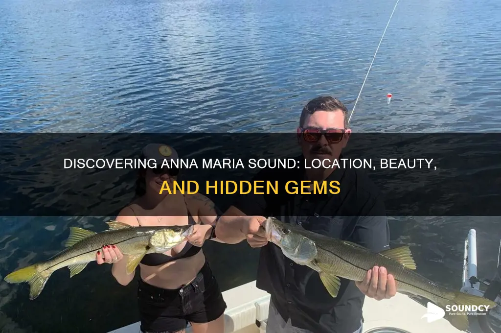 where is anna maria sound
