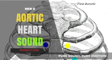 Locating the Aortic Heart Sound: Anatomy, Auscultation, and Clinical Insights
