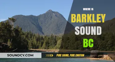 Exploring Barkley Sound: A Hidden Gem on Vancouver Island, BC