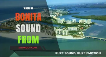Unveiling Bonita Sound's Origins: A Journey to Its Source