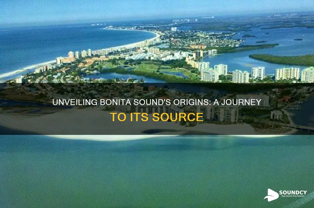 where is bonita sound from