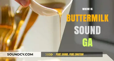 Discovering the Hidden Gem: Buttermilk Sound GA Location Guide