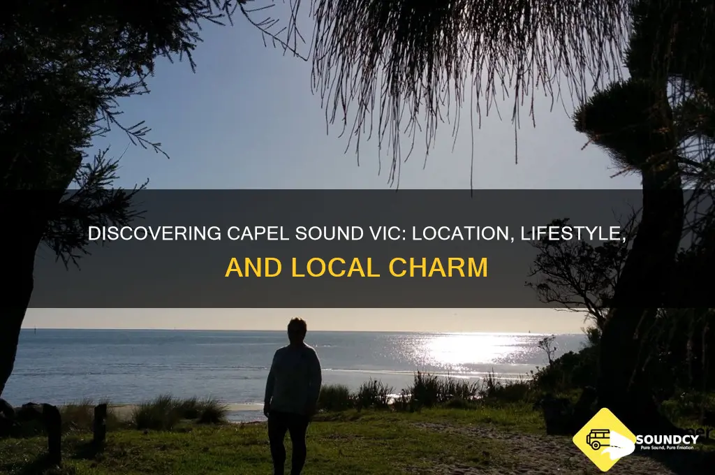 where is capel sound vic
