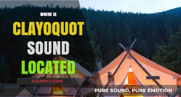 Discovering Clayoquot Sound: Location and Natural Beauty on Vancouver Island
