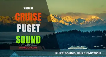 Exploring Puget Sound: Best Cruise Routes and Scenic Highlights