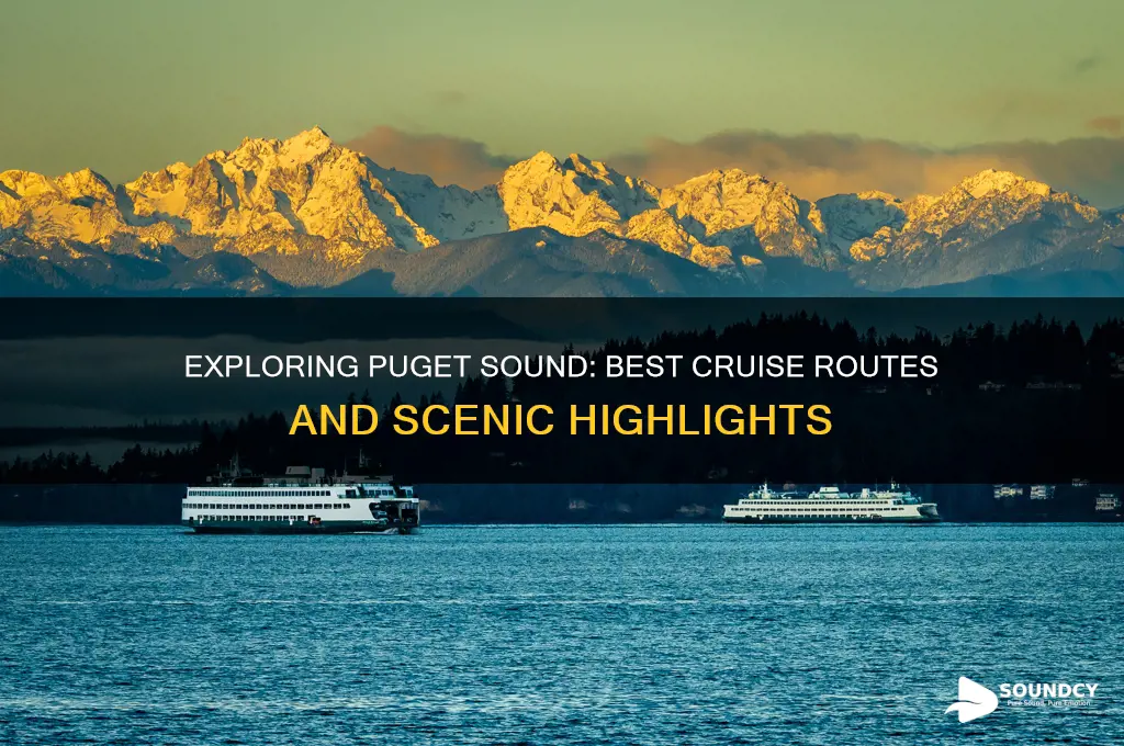 where is cruise puget sound