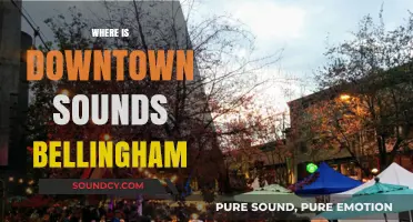 Discovering Downtown Sounds Bellingham: Location, Events, and Music Scene