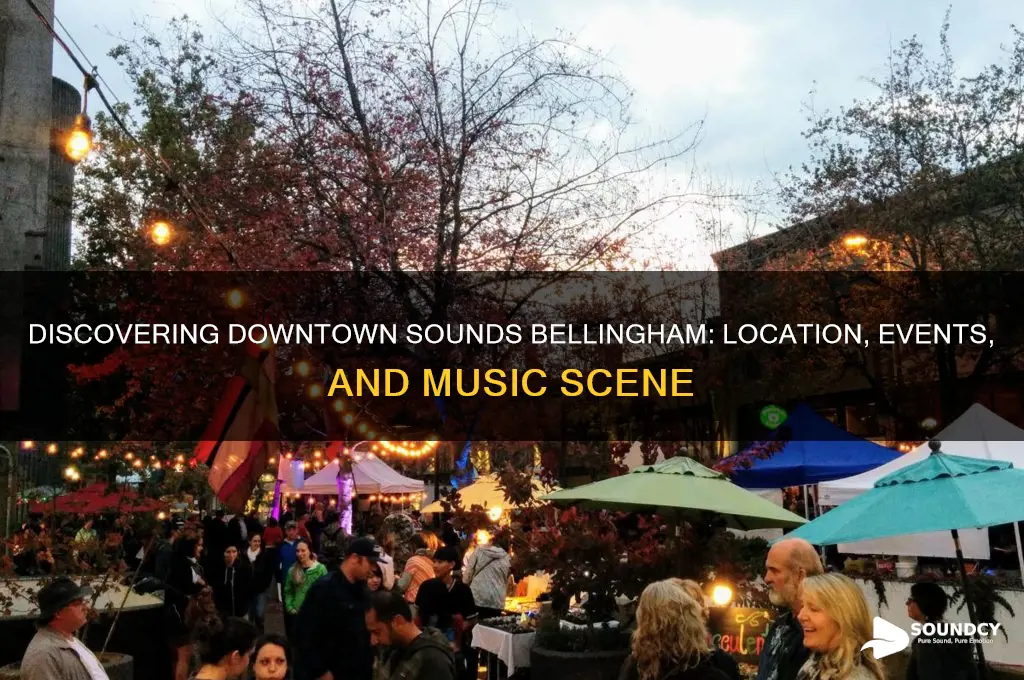 where is downtown sounds bellingham