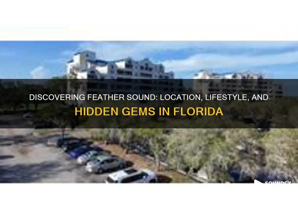 where is feather sound florida
