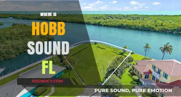 Discovering Hobb Sound, FL: Location, Map, and Nearby Attractions