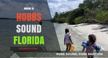 Discovering Hobbs Sound Florida: Location, Access, and Hidden Gems