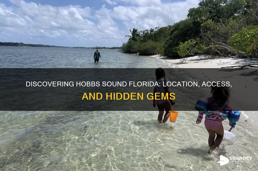 where is hobbs sound florida